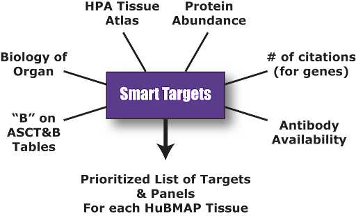 SmartTargets diagram